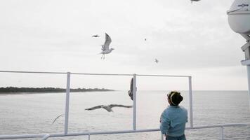 lindo jovem mulher jogando Comida para gaivotas vôo sobre balsa barco. video