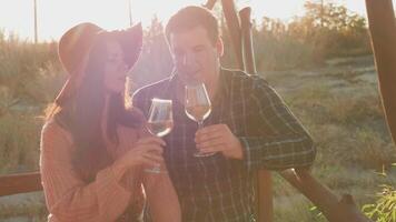 Pareja tintinamente lentes de blanco vino en calentar puesta de sol ligero video