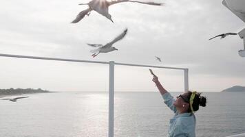 Seagulls eating food from beautiful woman on a ferry boat sailing on open sea. video