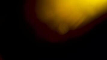 organisch gefangen warm Linse Fackeln isoliert Über schwarz Hintergrund. Bokeh, Licht Leckagen und Auswirkungen video