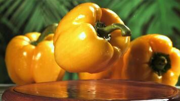 Yellow sweet pepper falls on a wet board. Filmed on a high-speed camera at 1000 fps. High quality FullHD footage video