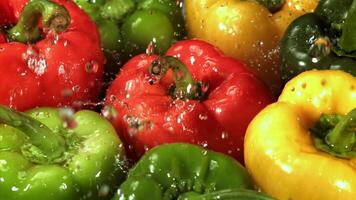 Raindrops fall on multi-colored sweet peppers. Filmed on a high-speed camera at 1000 fps. High quality FullHD footage video