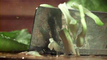 The cook cuts the cabbage with a knife. Filmed on a high-speed camera at 1000 fps. High quality FullHD footage video