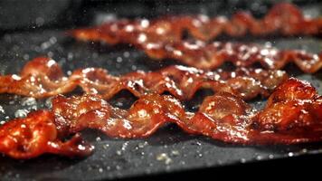 Bacon is fried in a pan. Filmed on a high-speed camera at 1000 fps. High quality FullHD footage video