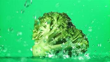 druppels van water vallen Aan de broccoli. gefilmd Aan een hoge snelheid camera Bij 1000 fps. hoog kwaliteit full HD beeldmateriaal video