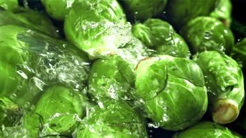 A stream of water pours into Brussels sprouts. Filmed on a high-speed camera at 1000 fps. High quality FullHD footage video