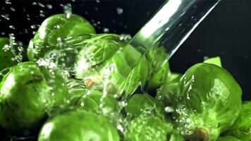 un corriente de agua vierte dentro Bruselas coles. filmado en un alta velocidad cámara a 1000 fps. alto calidad full HD imágenes video