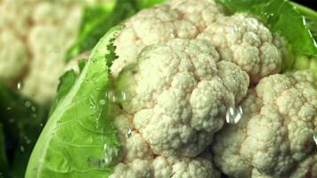 Raindrops fall on cauliflower. Filmed on a high-speed camera at 1000 fps. High quality FullHD footage video