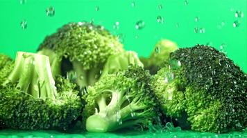 Drops of water fall on the broccoli. Filmed on a high-speed camera at 1000 fps. High quality FullHD footage video