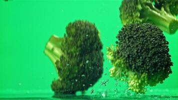 Dropping broccoli with splashing water. Filmed on a high-speed camera at 1000 fps. High quality FullHD footage video