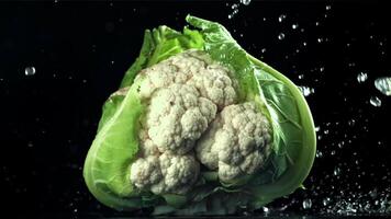 Raindrops fall on cauliflower. Filmed on a high-speed camera at 1000 fps. High quality FullHD footage video