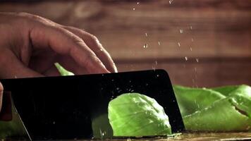 The cook cuts the cabbage with a knife. Filmed on a high-speed camera at 1000 fps. High quality FullHD footage video