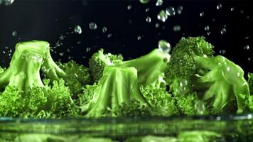 Drops of water fall on the broccoli. Filmed on a high-speed camera at 1000 fps. High quality FullHD footage video