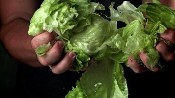 das Koch brechen ein Teil das frisch Grüner Salat. gefilmt auf ein schnelle Geschwindigkeit Kamera beim 1000 fps. hoch Qualität fullhd Aufnahmen video