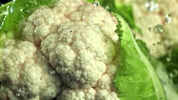 Raindrops fall on cauliflower. Filmed on a high-speed camera at 1000 fps. High quality FullHD footage video