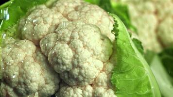Raindrops fall on cauliflower. Filmed on a high-speed camera at 1000 fps. High quality FullHD footage video