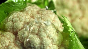 Raindrops fall on cauliflower. Filmed on a high-speed camera at 1000 fps. High quality FullHD footage video