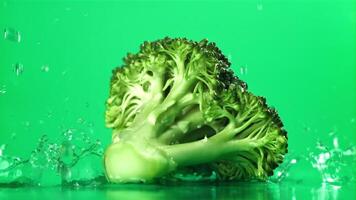 droppar av vatten falla på de broccoli. filmad på en hög hastighet kamera på 1000 fps. hög kvalitet full HD antal fot video