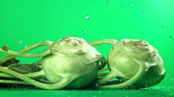 Tropfen von Wasser fallen auf das Kohlrabi Kohl. gefilmt auf ein schnelle Geschwindigkeit Kamera beim 1000 fps. hoch Qualität fullhd Aufnahmen video