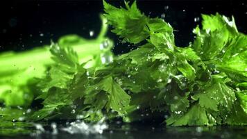 Drops of water fall on fresh celery. Filmed on a high-speed camera at 1000 fps. High quality FullHD footage video