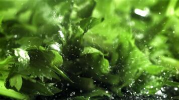 Celery sprigs fall on a wet table. Filmed on a high-speed camera at 1000 fps. High quality FullHD footage video