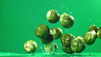 Brussels sprouts fall on the table. Filmed on a high-speed camera at 1000 fps. High quality FullHD footage video