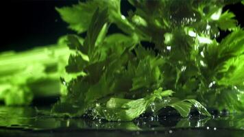 Sellerie Zweige fallen auf ein nass Tisch. gefilmt auf ein schnelle Geschwindigkeit Kamera beim 1000 fps. hoch Qualität fullhd Aufnahmen video