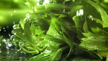 Drops of water fall on fresh celery. Filmed on a high-speed camera at 1000 fps. High quality FullHD footage video