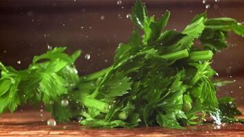 Drops of water fall on fresh celery. Filmed on a high-speed camera at 1000 fps. High quality FullHD footage video