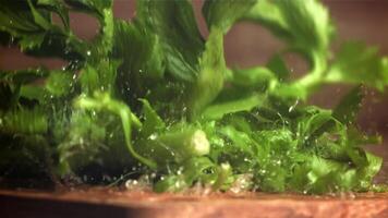 Celery sprigs fall on a wet table. Filmed on a high-speed camera at 1000 fps. High quality FullHD footage video