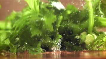 Celery sprigs fall on a wet table. Filmed on a high-speed camera at 1000 fps. High quality FullHD footage video