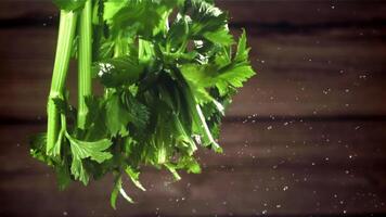 Fresh celery with drops of water. Filmed on a high-speed camera at 1000 fps. High quality FullHD footage video