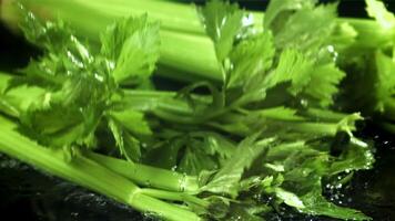 Celery sprigs fall on a wet table. Filmed on a high-speed camera at 1000 fps. High quality FullHD footage video