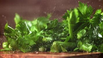 Celery sprigs fall on a wet table. Filmed on a high-speed camera at 1000 fps. High quality FullHD footage video