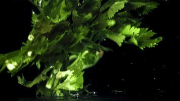 Celery sprigs fall on a wet table. Filmed on a high-speed camera at 1000 fps. High quality FullHD footage video