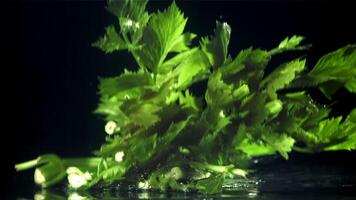 Celery sprigs fall on a wet table. Filmed on a high-speed camera at 1000 fps. High quality FullHD footage video