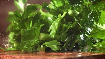 Drops of water fall on fresh celery. Filmed on a high-speed camera at 1000 fps. High quality FullHD footage video