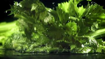 Celery sprigs fall on a wet table. Filmed on a high-speed camera at 1000 fps. High quality FullHD footage video