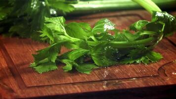 Celery sprigs fall on a wet table. Filmed on a high-speed camera at 1000 fps. High quality FullHD footage video