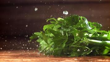 Drops of water fall on fresh celery. Filmed on a high-speed camera at 1000 fps. High quality FullHD footage video