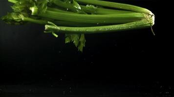 Celery sprigs fall on a wet table. Filmed on a high-speed camera at 1000 fps. High quality FullHD footage video