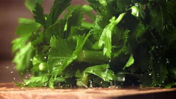 Drops of water fall on fresh celery. Filmed on a high-speed camera at 1000 fps. High quality FullHD footage video