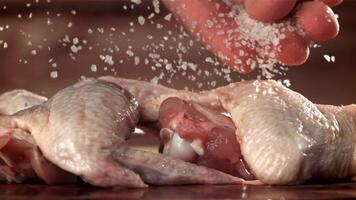 Salt falls on the raw chicken wings. Filmed on a high-speed camera at 1000 fps. High quality FullHD footage video