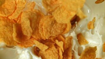 Corn flakes fall into the milk. Filmed on a high-speed camera at 1000 fps. High quality FullHD footage video