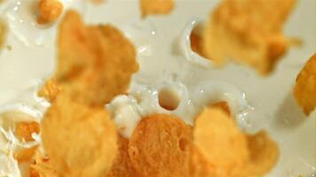 Corn flakes fall into the milk. Filmed on a high-speed camera at 1000 fps. High quality FullHD footage video