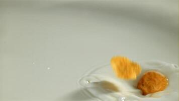 Corn flakes fall into the milk. Filmed on a high-speed camera at 1000 fps. High quality FullHD footage video