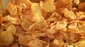 Cornflakes fall into a plate. Filmed on a high-speed camera at 1000 fps. High quality FullHD footage video