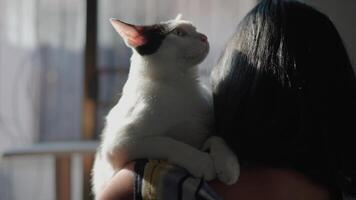 A woman stands holding her adorable favorite cat on her shoulder. Family holiday. video