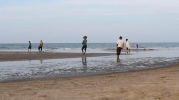 dewantara mare, nord asso, Indonesia, febbraio 5 2024, bambini pescatori traino sciabiche su il spiaggia nel il pomeriggio video