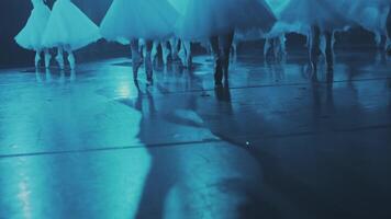 fechar-se do bailarinas pernas dançando gracioso clássico desempenho em estágio. pés dentro Holofote silhueta. profissional show do balé video